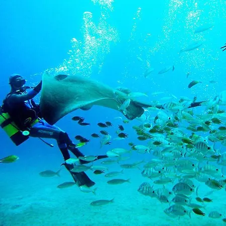 Lejlighed Super Penthouse Ocean View San Miguel de Abona