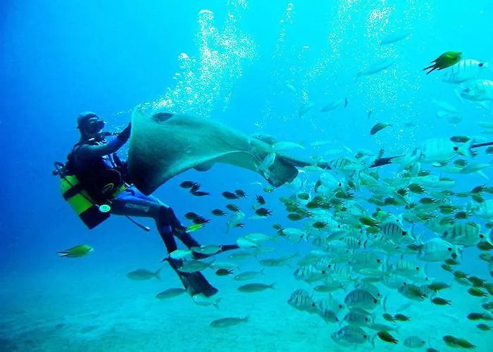 Διαμέρισμα Super Penthouse Ocean View Σαν Μιγκέλ ντε Αμπόνα